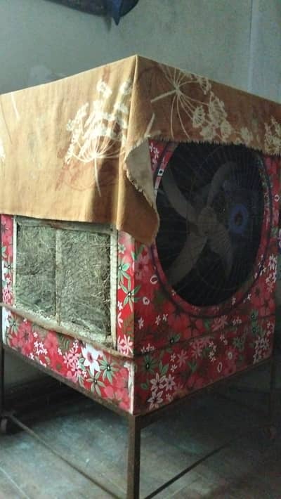 fore sale Collar bast style