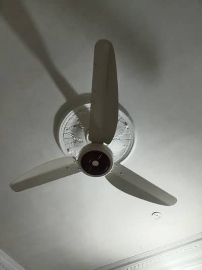 18 Ceiling Fans for Sale – Bulk Deal | Good Condition | Kohat KPK