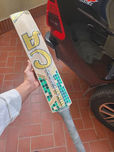 Cricket bat