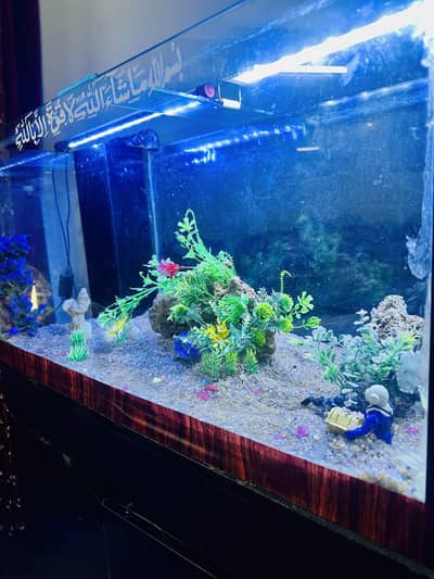  Premium Fish Aquarium for Sale – Excellent Condition! 