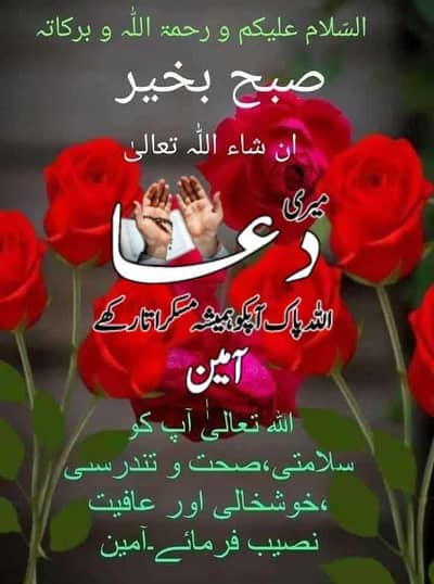 chevrolet exclusive Ls0.8 model 2003