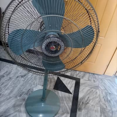 royal fan for sale