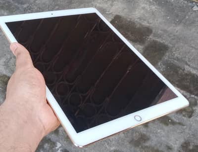 iPad Pro 12.9 inch  2 generation with cover with official charger