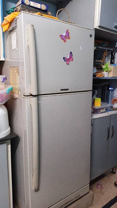 pel fridge