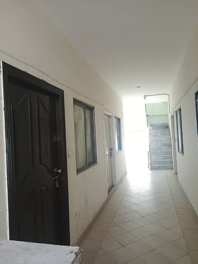 Luxury Corner Apartment For Rent