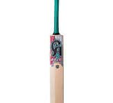 CA BAT,PRO edition 1