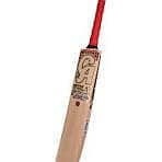 CA BAT,PRO edition 2