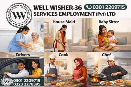 Patient care |  Baby Sitter | Drivers  | cook | Cheif  | couple