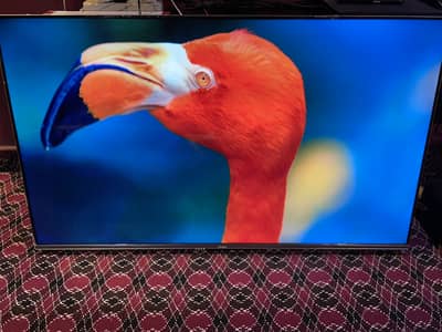 50”inch haier Smart QLED, Ok Google vo for sale  Rs. 99,999