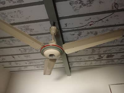 Used good condition 6  fans for sale