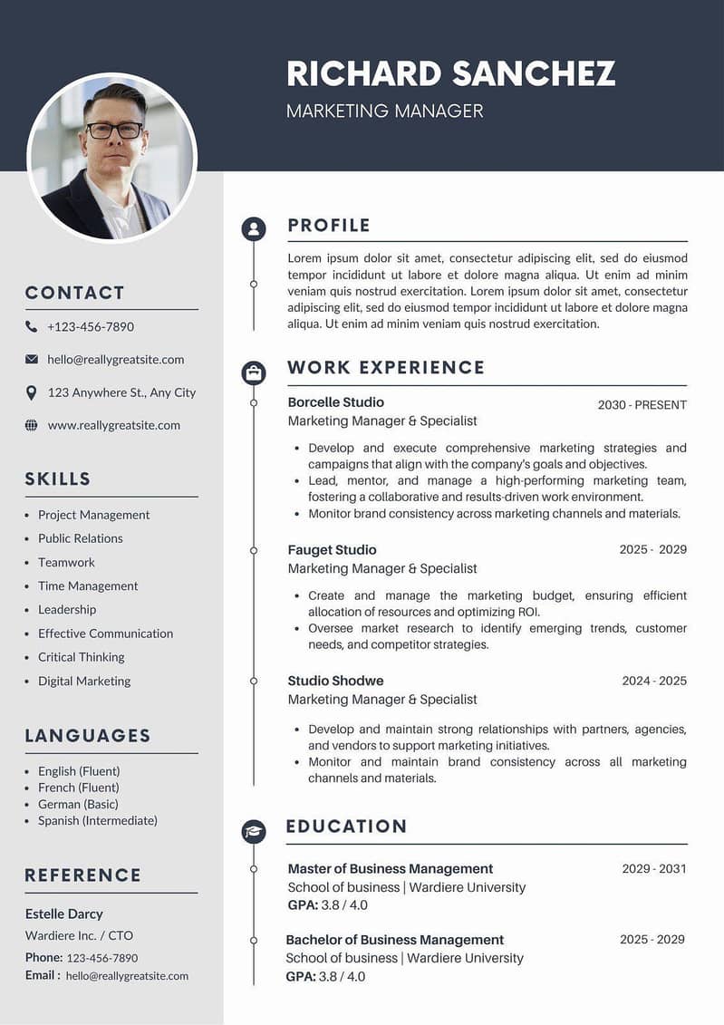 Professional Cv Maker 0