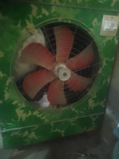 LAHORI COLLER FULL SIZE all ok