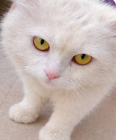 more discount available