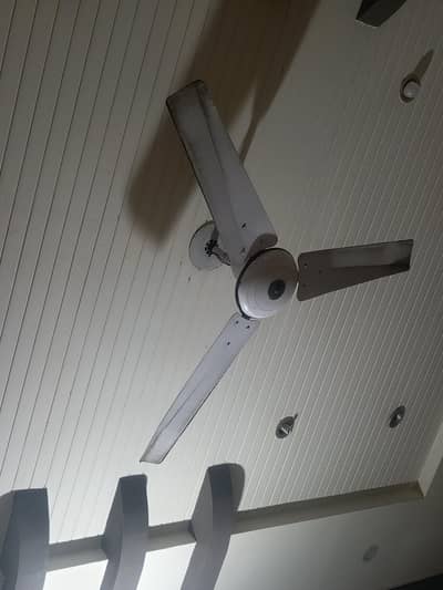 Ceiling Fan