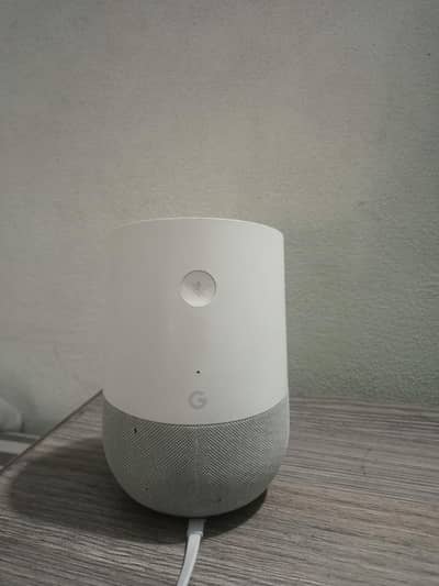 Google Like alexa great mint condition delivery is avalible