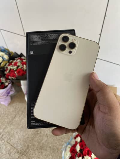 iPhone 12 Pro Max 128GB PTA Approved