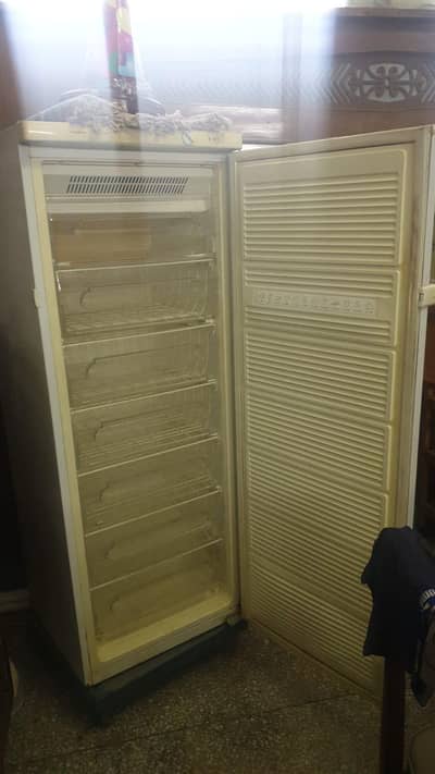Upright Freezer