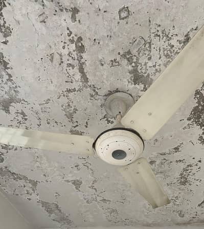 Ceiling Fan