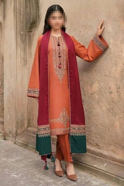 3 Pcs Women's Embroidered Dhanak Suit Brown