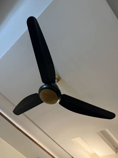 Tamoor Ceiling Fan