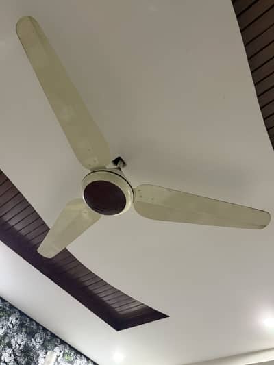 Tamoor Ceiling Fan