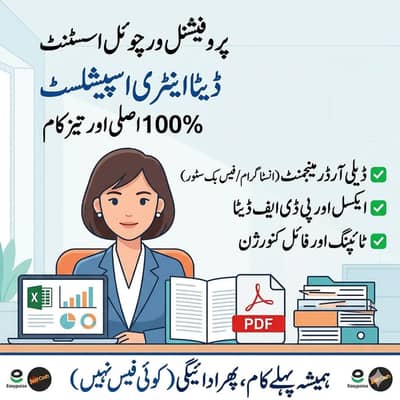 Professional Data Entry & Virtual Assistant (Remote)