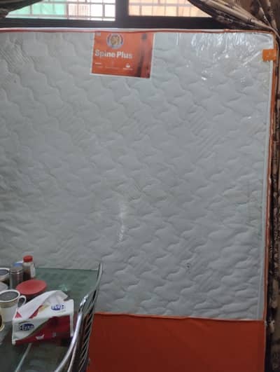 Duraform Queen-I Mattress (Spine Plus) 8 inch 10/10 Condition