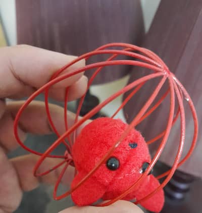 New cat ball for playing