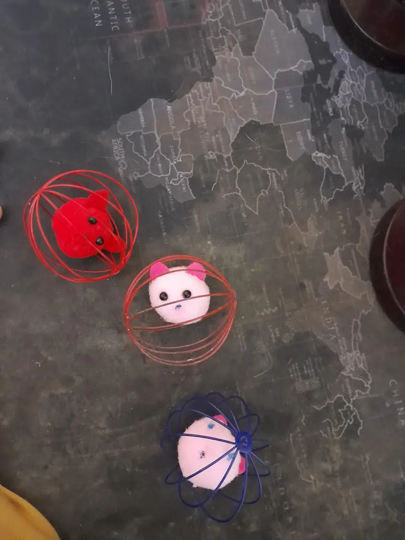 New cat ball for playing — photo 2