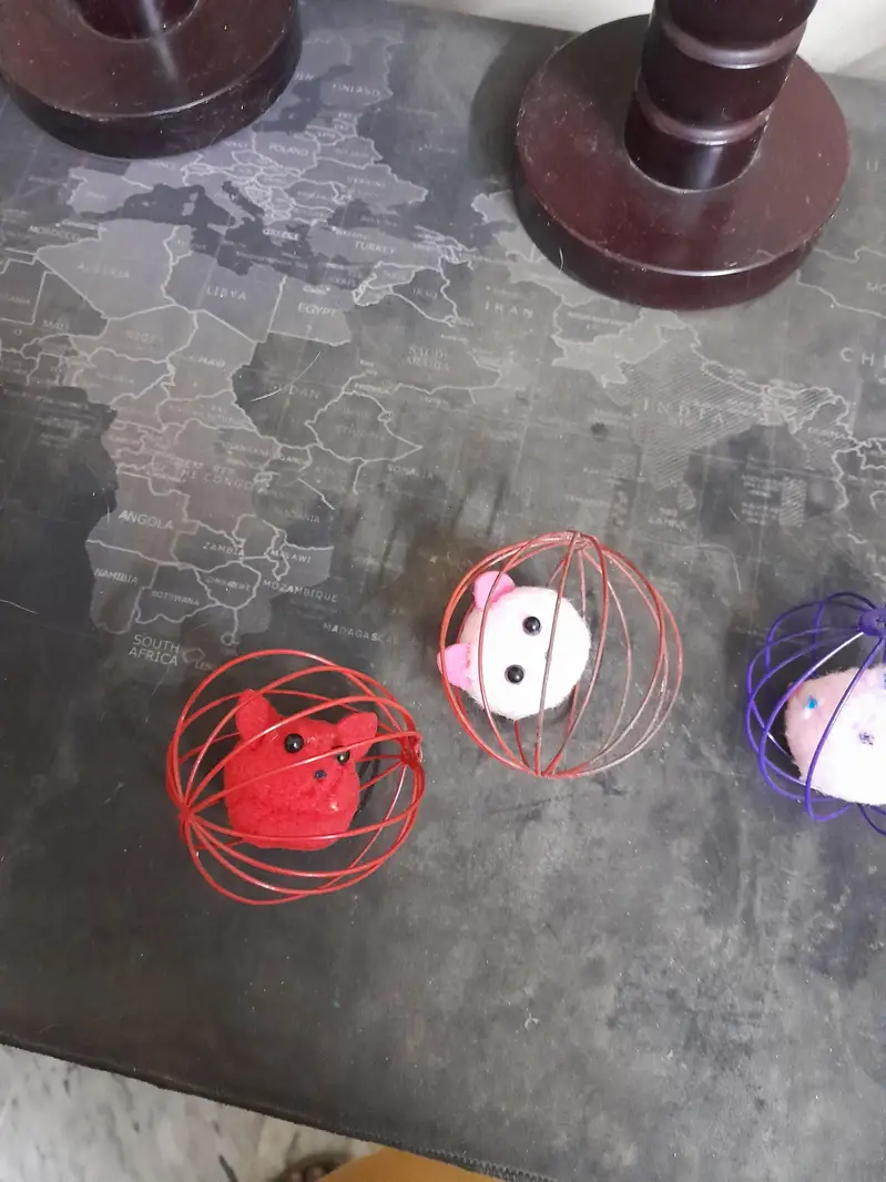 New cat ball for playing — photo 3