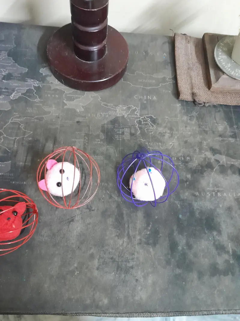 New cat ball for playing — photo 4