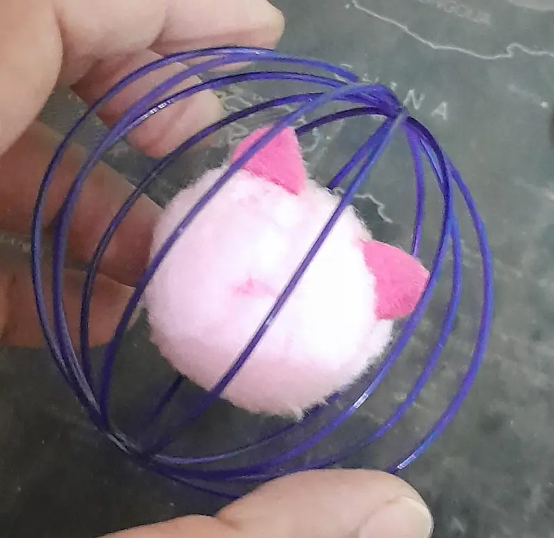 New cat ball for playing — photo 6