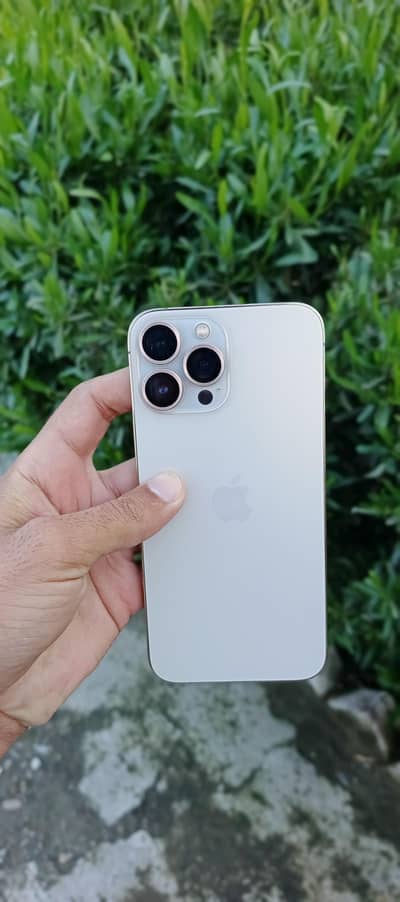 13Promax non PTA 1TB