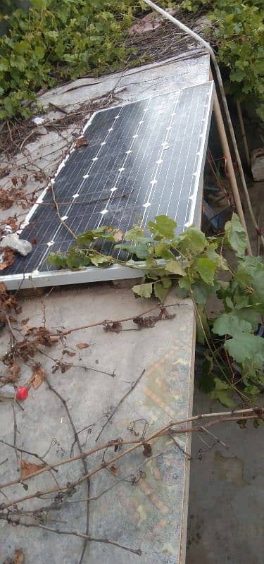 solar palet 1 for sale