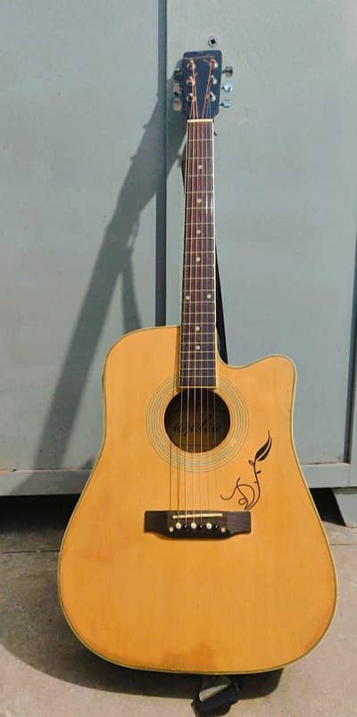 Guitar Semi acoustic with bag