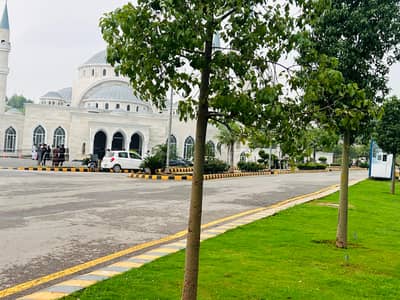 B Block 10 Marla Plot