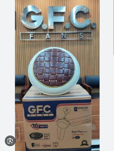 GFC RAVI PLUS 30WATTS AC INVERTER