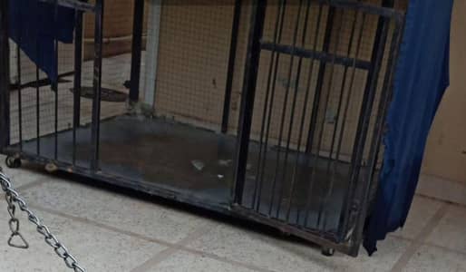 dog and lion cage for sale size 5 /5