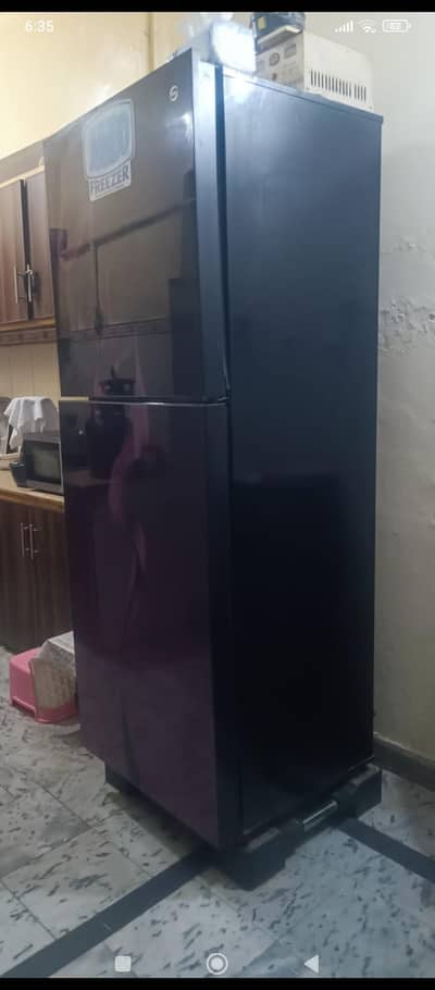 peI fridge large size