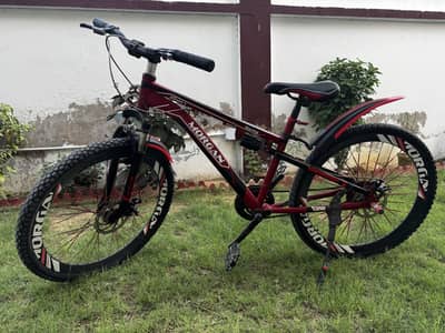 Morgan, full size bicycle.