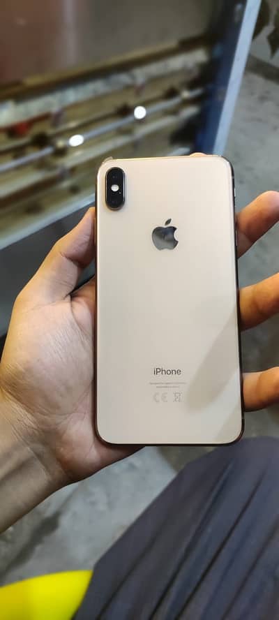 256 gb pta xs max gold