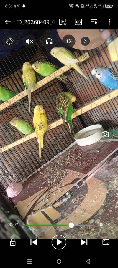 sare ke sare ok Hain pr pic 300