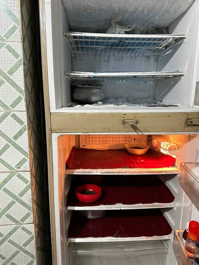 Working condition PEL Fridge for urgent sale