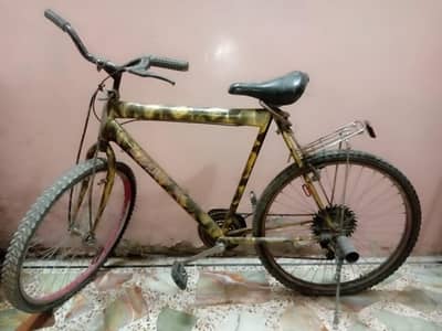 Gear cycle for sale large size