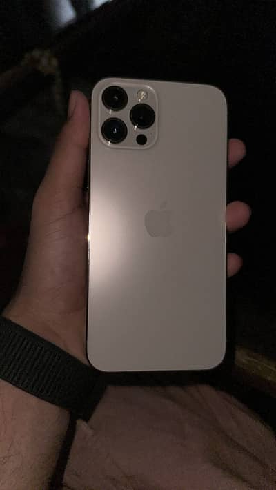 12 pro max pta approved