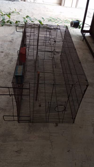 birds foldable cages