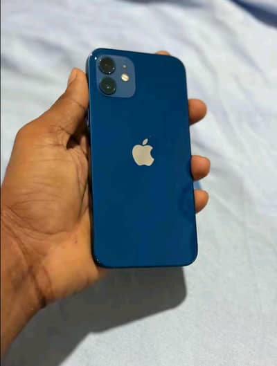 I phone 12 10/10