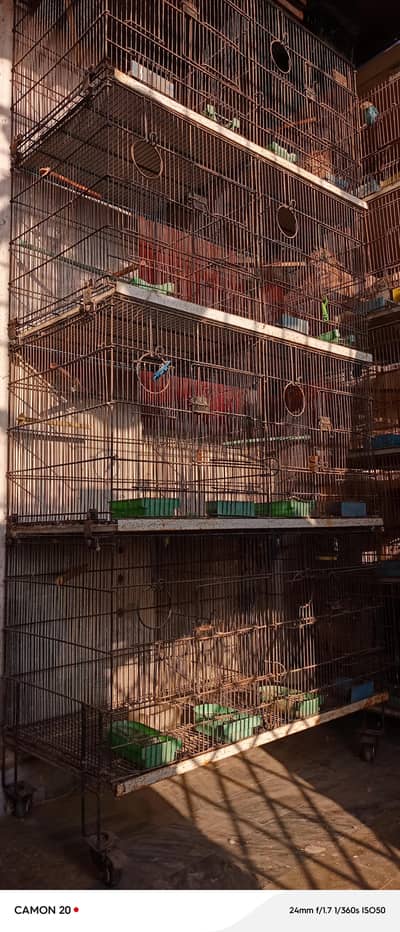 Master Folding Cage (8 Portion)