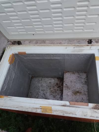 D freezer for sale