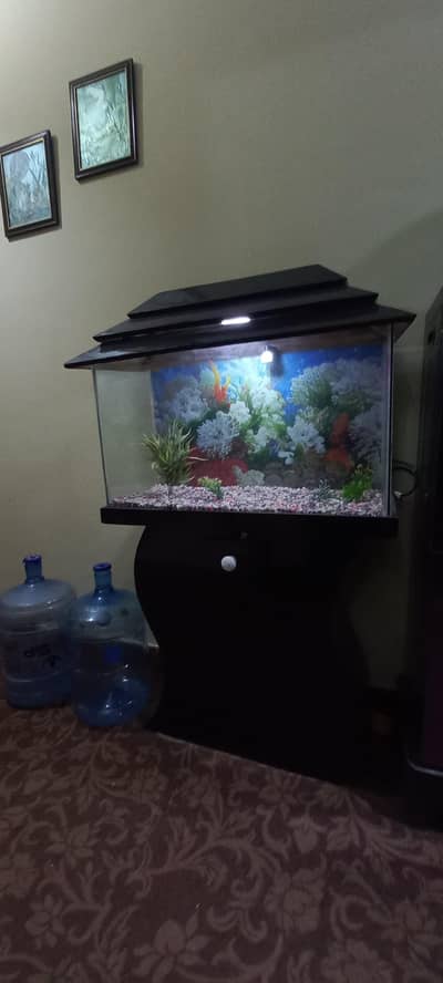 fish tang medium size